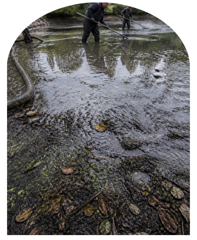 Очистка пруда в Братске от ила мусора и водорослей с вывозом